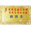 VIP Embossing Golden and Silver Card