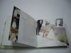 Wedding Brochure printing