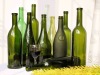 Wine glass bottle