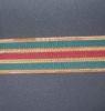 Woven nylon ribbon
