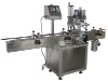 XBXGJ-2500 Automatic Cap Sealer