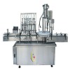 YXT-YG 8/2 Eight filling nozzle two capping head bottle  filling and capping  machine