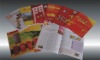 advertising brochure