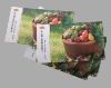 advertising card printing service