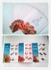 advertising folder handout posters flyer leaflet printing service