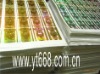 anti-counterfeiting hologram sticker