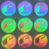 anti-counterfeiting hologram sticker