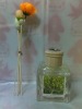 aromatherapy oil bottle with cane