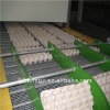 automatic rotary fruit tray production line