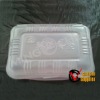 bagasse fast food box