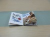 beautiful matte lamination brochure printing service