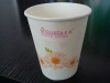 biodegradable paper cup