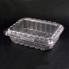 blister  packages tray for Disposable  food container(fruit and salad box