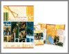 brochure printing for travel