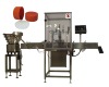 cap liner inserting machine