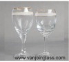 champagne glass cup