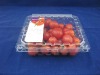 clamshell fruit packaging