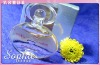 clear crystal glass perfume bottle