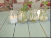 clear glass jar for planting