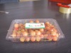 clear plastic fruit box