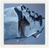 clear self-adhesive aluminum foil bag & plastic packaging