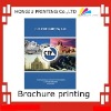 company brochure printing