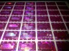 custom design security holographic sticker and label