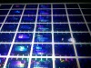 customized hologram labels