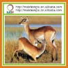 deer 3d animal picture