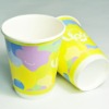 disposable QS double paper cup