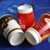 disposable double paper cup