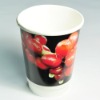 disposable double paper cup(FDA, SGS, ISO)