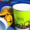 disposable double wall paper cup