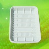 disposable food tray