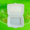 disposable lunch box