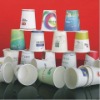 disposable paper cup