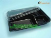 disposable plastic take away lunch box