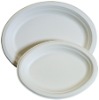 disposable   tableware