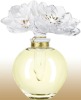 elegant perfume bottle