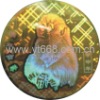 encryption hologram anti-counterfeiting sticker