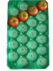 environmental PP-Tomato Tray(green,39*59cm,for tomato)