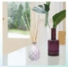 essential oil glass bottle with reed diffuser