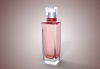 fashion leader---60ml/100ml glass perfume spray bottle