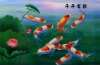 fish picture of 3d lenticular printing picture