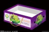 food container sushi container