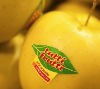 fresh pear fruit label