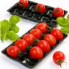 fruit plastic tray