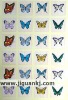 full color butterfly Adhesive Label