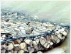 gabion box