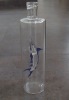 glass bottle(fish bottle)